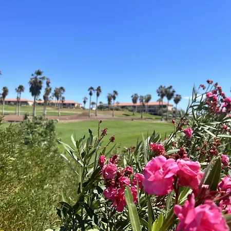 شقة Pool View In Ocean Golf Cc K118
