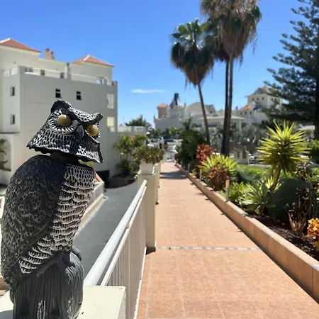 Pool View In Ocean Golf Cc K118 *